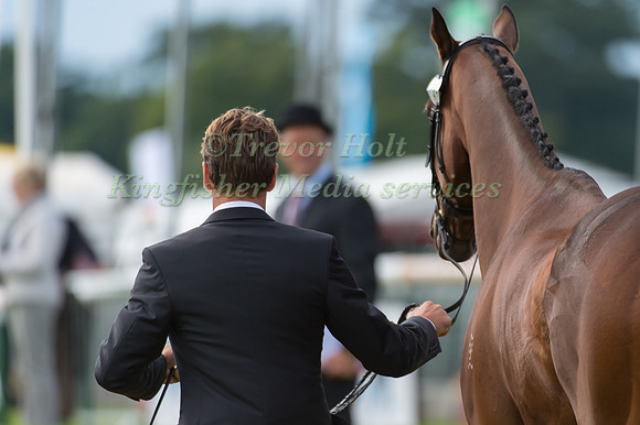 Christopher Burton (AUS) and  Haruzac