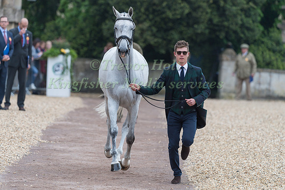 Will Furlong (GBR) and  Collien P 2