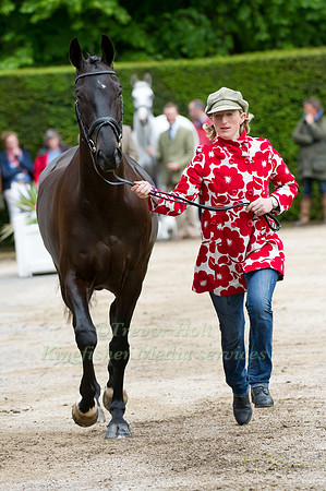Ruth Edge and Elite Opposition