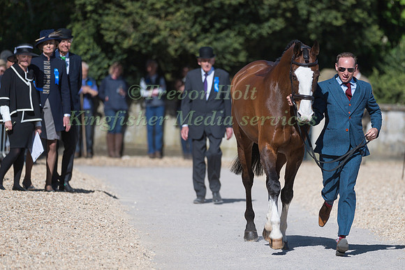 MICHAEL OWEN (GBR) AND  BRADELEY LAW