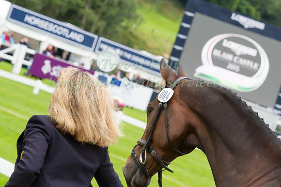 Pippa Funnell of Great Britain with Sandman 7