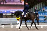 William Fox-Pitt and Bay My Hero