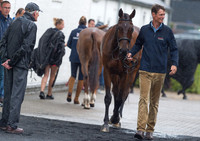 WILLIAM FOX-PITT AND LITTLE FIRE