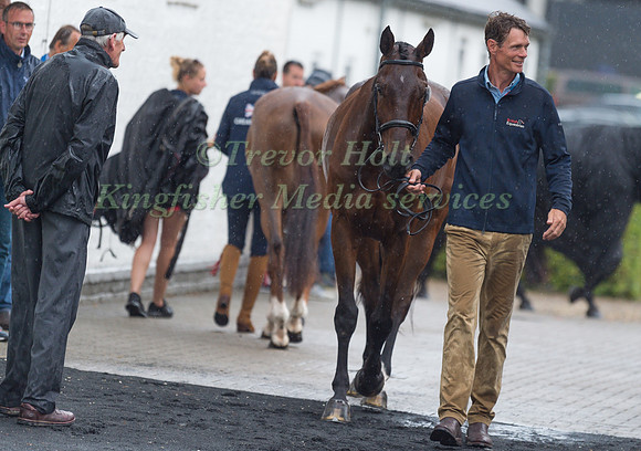 WILLIAM FOX-PITT AND LITTLE FIRE