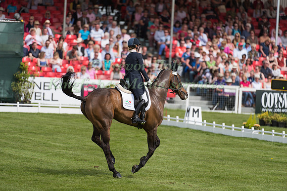 Dee Hankey of Great Britain  riding Chequers Playboy