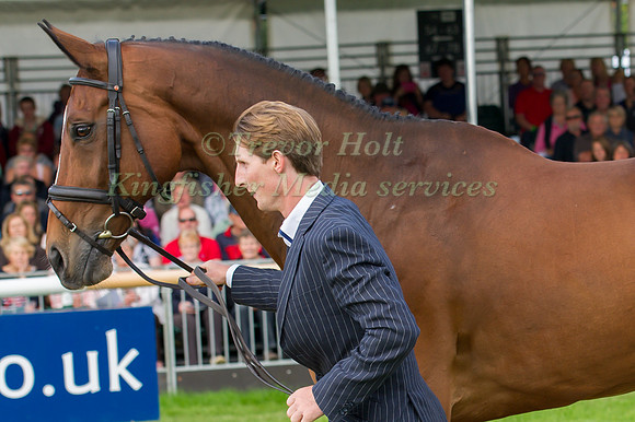 Paul Sims (GBR) and  Glengarnock