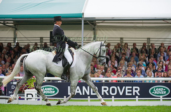 Andrew Nicholson (NZL) riding Avebury competing in the dressage test