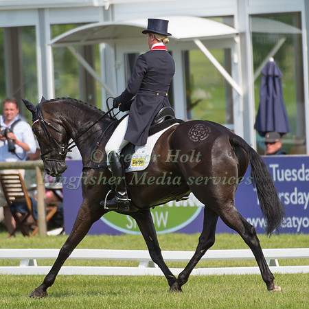 Nicola Wilson (GBR) riding Bulana