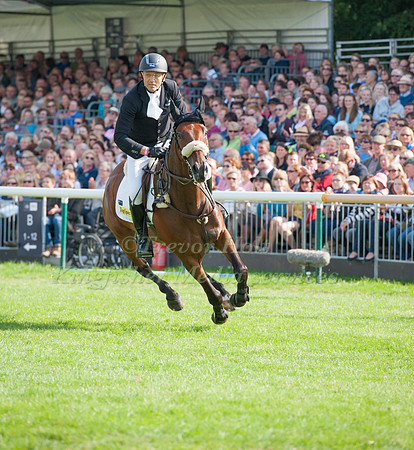 Bill Levett and Improvise taking part in the Show Jumping Phase taking part in the Show Jumping Phase
