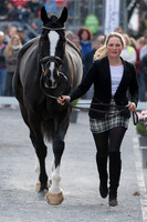 Emily PARKER  (GBR) AND HARELAW WIZARD