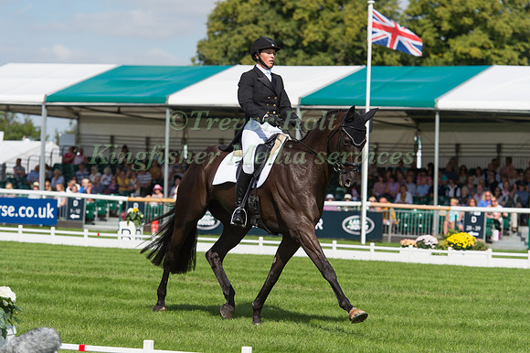 ELISA  WALLACE (USA) RIDING SIMPLY PRICELESS