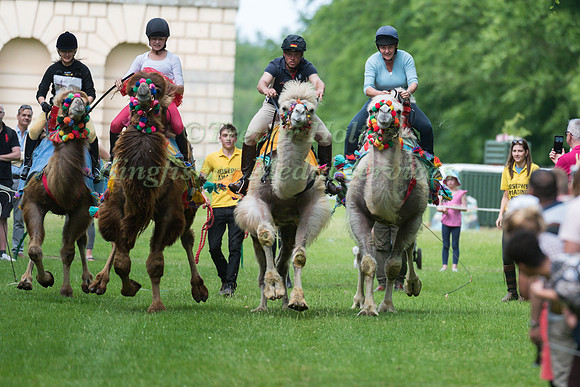 ANDREAS OSTHOLT  AND TAKES PART IN THE CAMEL RACING AT THE 2017 HOUGHTON INTERNATIONAL HORSE TRIALS