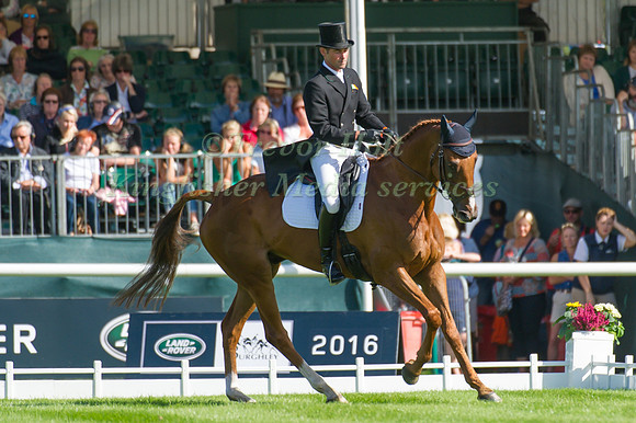 JOSEPH  MURPHY (IRL) RIDING DHI TOP STORY