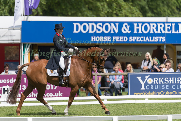 LAURA COLLETT (GBR) AND GRAND MANOEUVRE TAKING PART IN THE DRESSAGE PHASE OF THE  CIC THREE STAR COMPETITION AT THE 2017 EQUI-TREK BRAMHAM INTERNATIONAL HORSE TRIALS