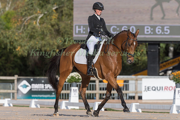 HOLLY JACKS (CAN) AND MORE INSPIRATION