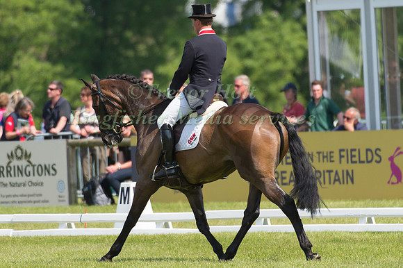 Oliver Townend (GBR) riding Odt Ghareeb