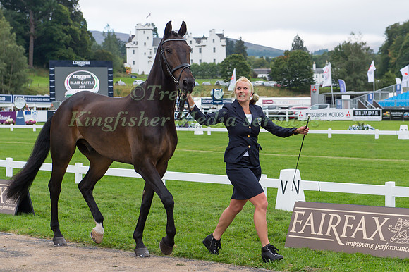 Sanna Siltakorpi of Finland with Lucky Accord
