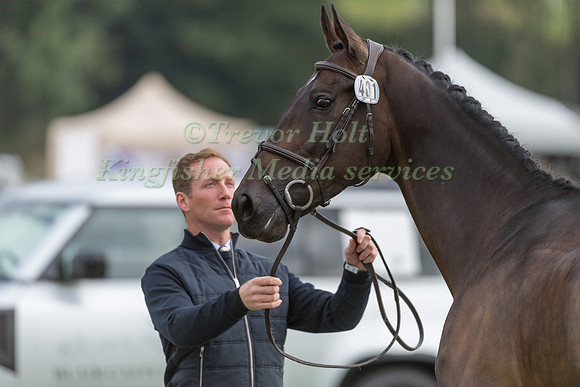 OLIVER TOWNEND  AND ARKLOW PUISSANCE