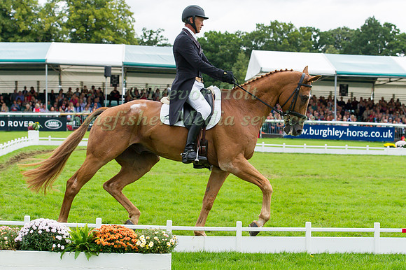ANDREW  NICHOLSON (NZL) RIDING NEREO