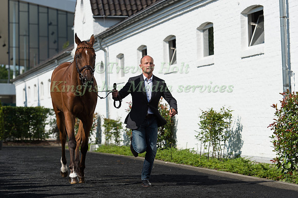 Michael Jung (GER) and La Biosthetique - Sam FBW