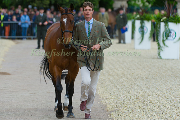 William Fox-Pitt Parklane Hawk