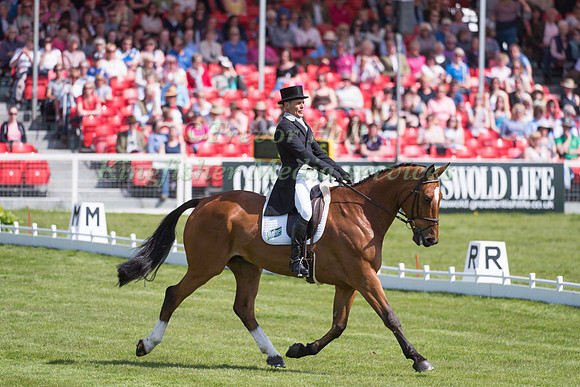 Blyth Tait of New Zealand riding Bear Necessity V