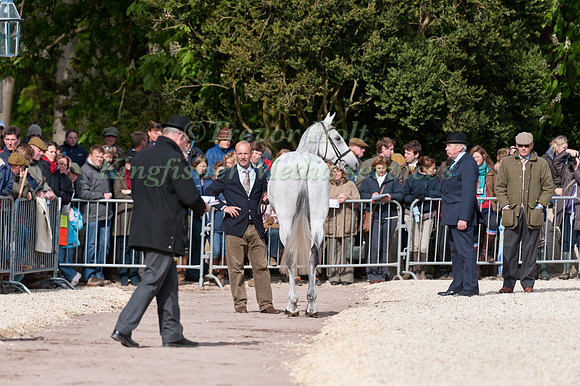 Jo Meyer and Snip await the Ground Jury's Decision