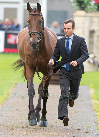 Luca Roman of Italy with Castlewoods Jake
