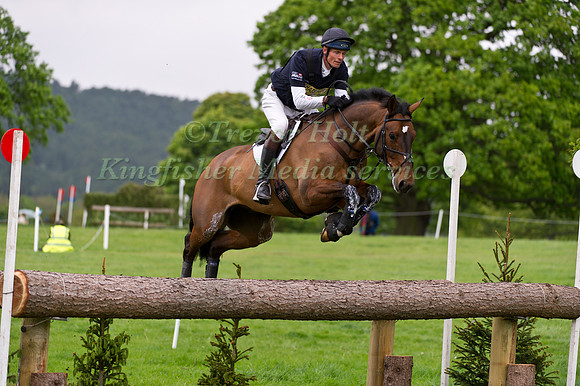 William Fox-Pitt and Gaucho