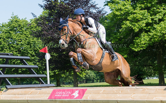 CAROLINE  MARTIN (USA) AND DANGER MOUSE