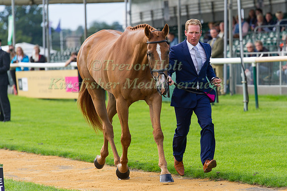 Oliver Townend (GBR) and  Armada