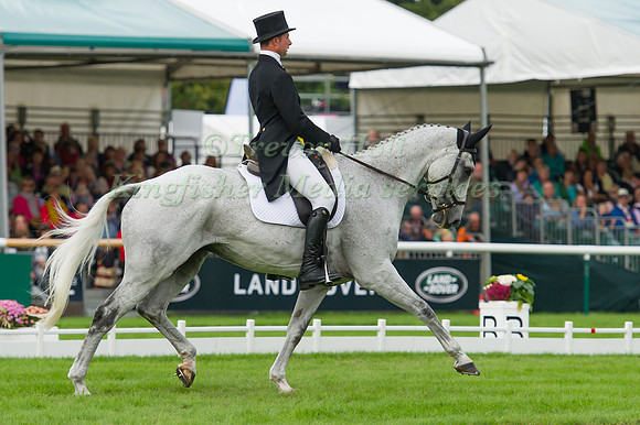 HARRY DZENIS (GBR) RIDING XAM