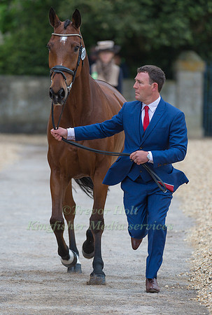Austin O'Connor (IRL) and Kilpatrick Knight at the first Horse Inspection of the 2017 Mitsubishi Motors Badminton Horse Trials