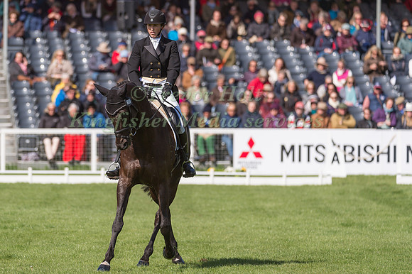 Elisa Wallace (USA) riding Simply Priceless in the Dressage phase  of  the 2017 Mitsubishi Motors  Badminton Horse Trials