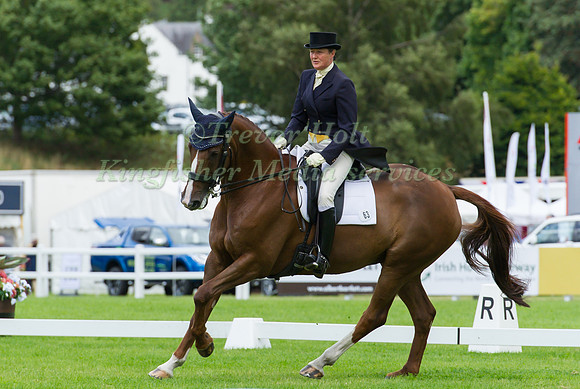 ANNETTE HIGGINS (GBR) RIDING KEC DIGITAL ERA