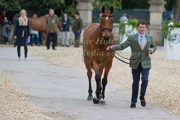 Tom McEwen (GBR) and Toledo de Kerser at the Final  Horse Inspection of the 2017 Mitsubishi Motors Badminton Horse Trials