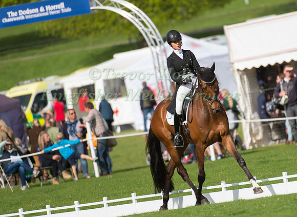 Bettina  Hoy (GER) riding Seigneur Medicott