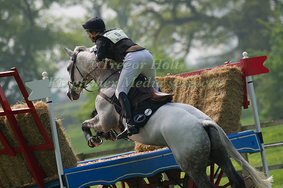 Andrew Nicholson & Avebury
