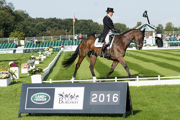 TOM CRISP (GBR) RIDING COOLYS LUXURY
