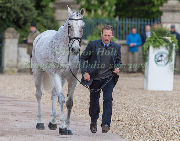 Oliver Townend (GBR) and  Ballaghmor Class