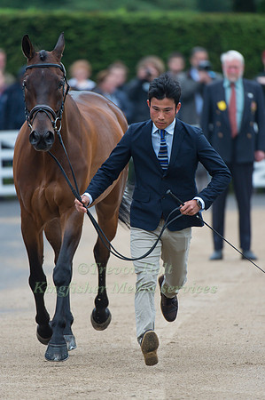 Ryuzo  Kitajima (JPN) and Poachers Hope