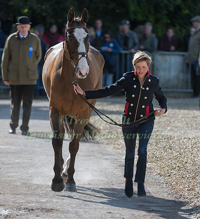 LOUISE HARWOOD  (GBR) AND  MR POTTS