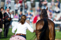 Piggy French, (GBR) riding Westwood Mariner taking part in the Show Jumping Phase