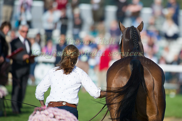 Piggy French, (GBR) riding Westwood Mariner taking part in the Show Jumping Phase