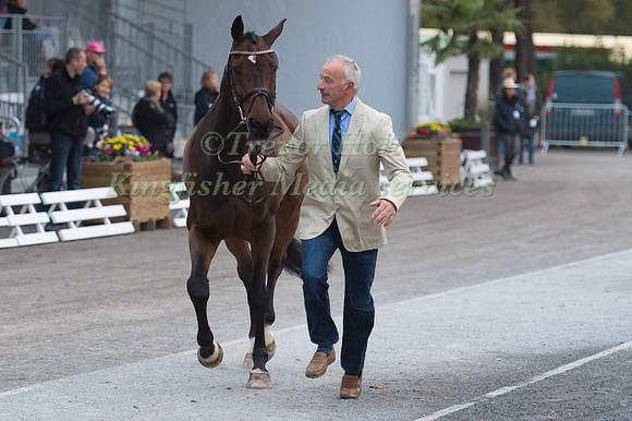 Elmar Lesch of Germany and Lanzelot  113