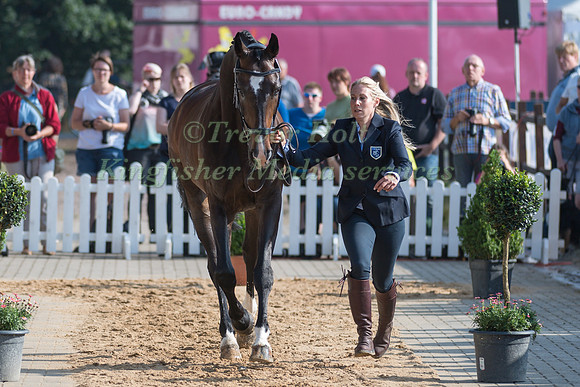 PAULIINA SWINDELLS (FIN) AND FERRO S