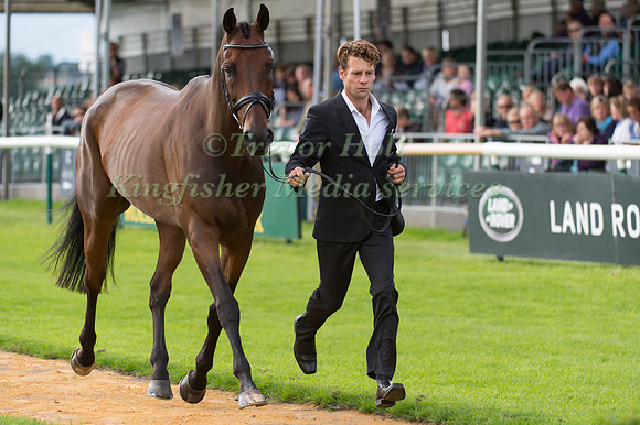 Christopher Burton (AUS) and  Haruzac