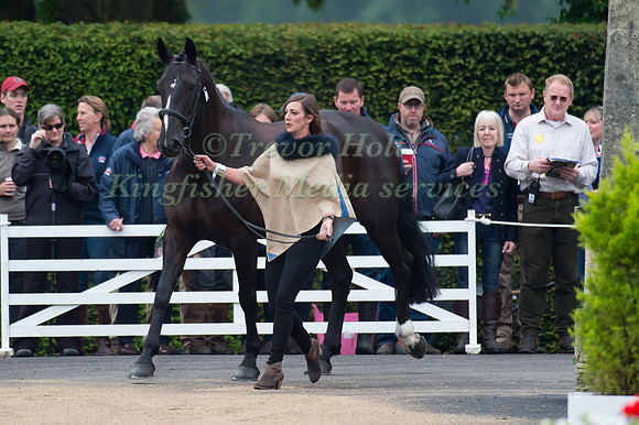 Hazel Towers (GBR) and Simply Smart