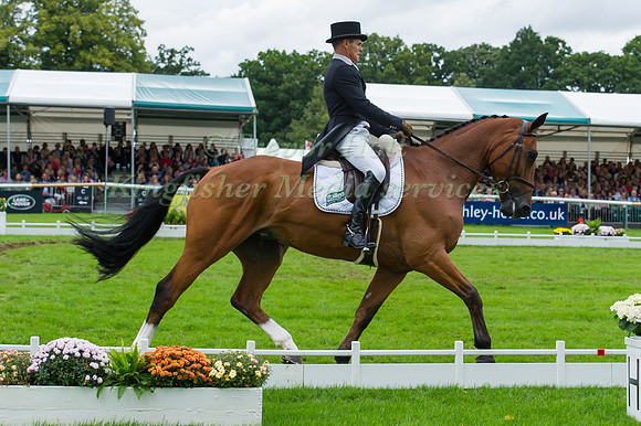 BLYTH  TAIT (NZL) RIDING BEAR NECESSITY V