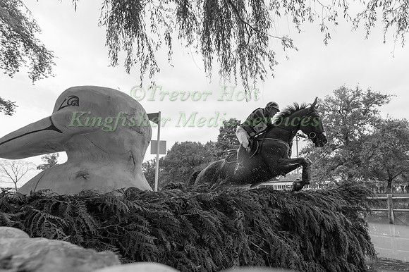 Cedric LYARD (FRA) AND QATAR DU PUECH ROUGET